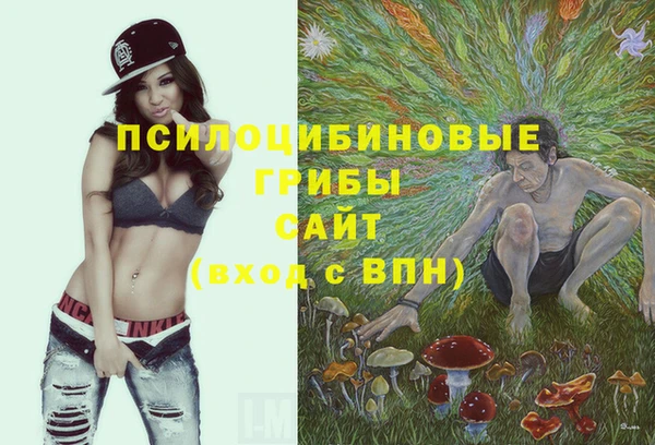MDMA Premium VHQ Бердск