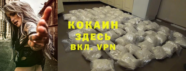мдма Новодвинск